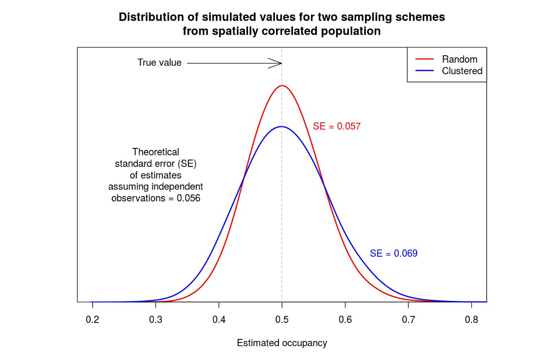 Spatial correlation and the independence assumption with occupancy modelling
