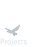 projects