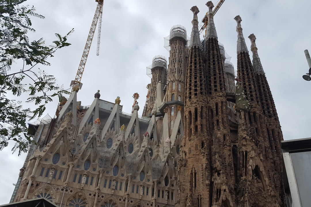 An advantage of occupancy modelling