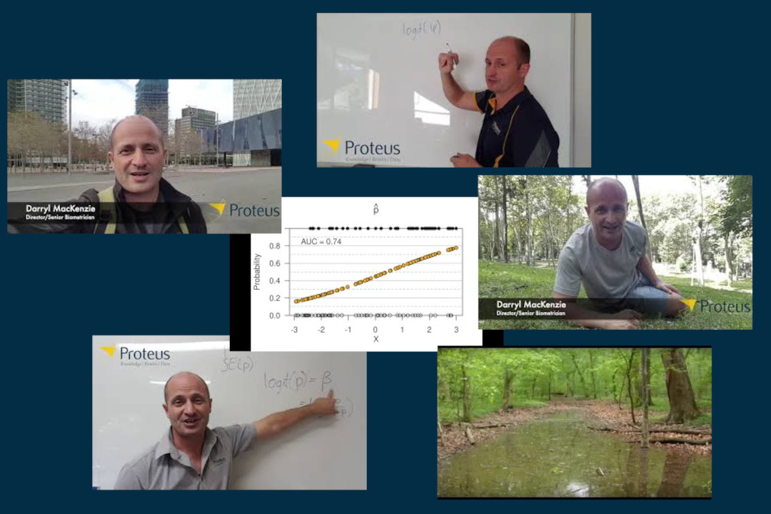 The best and the worst